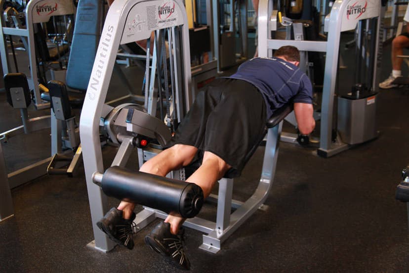 Lying Leg Curls